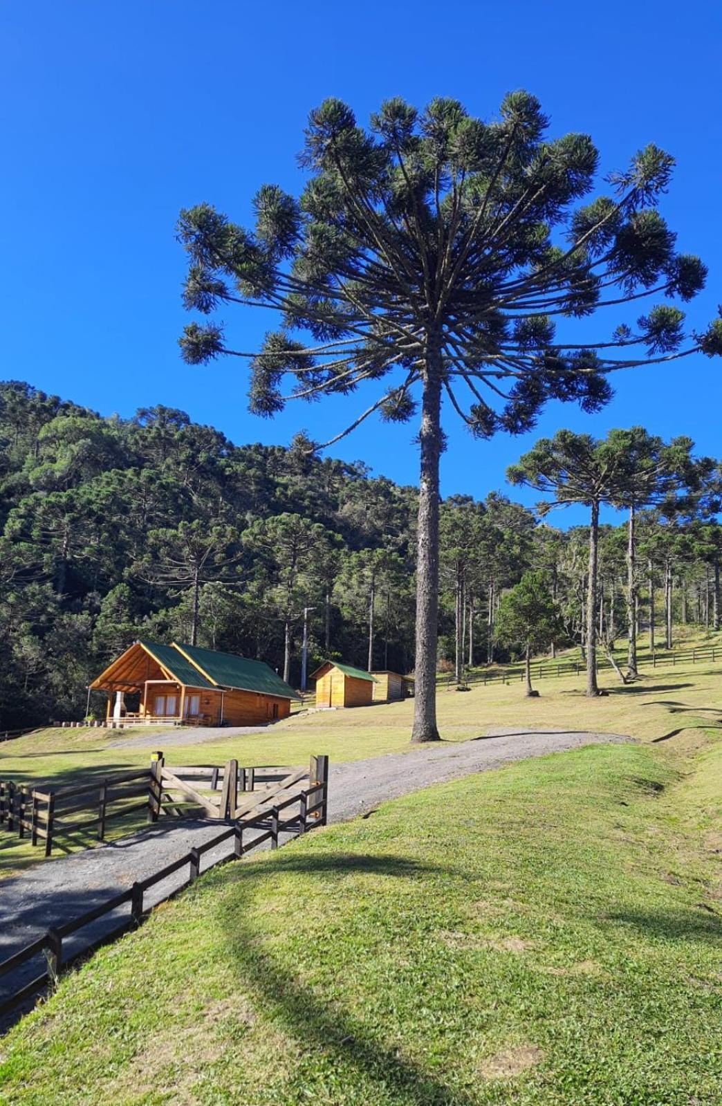 Quinta do Vale Urubici Exterior foto